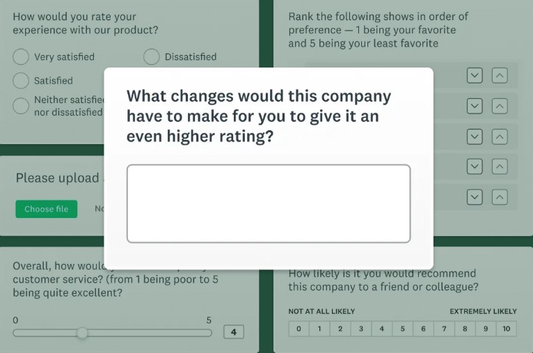 Survey on SurveyMonkey